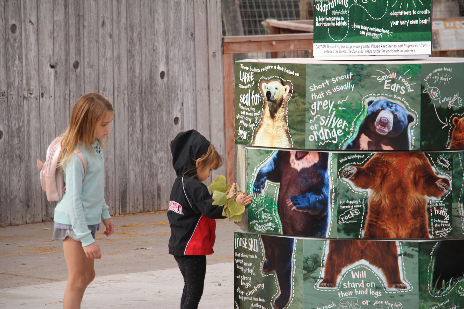 IMG_0224RDC Bear Exhibit.jpg